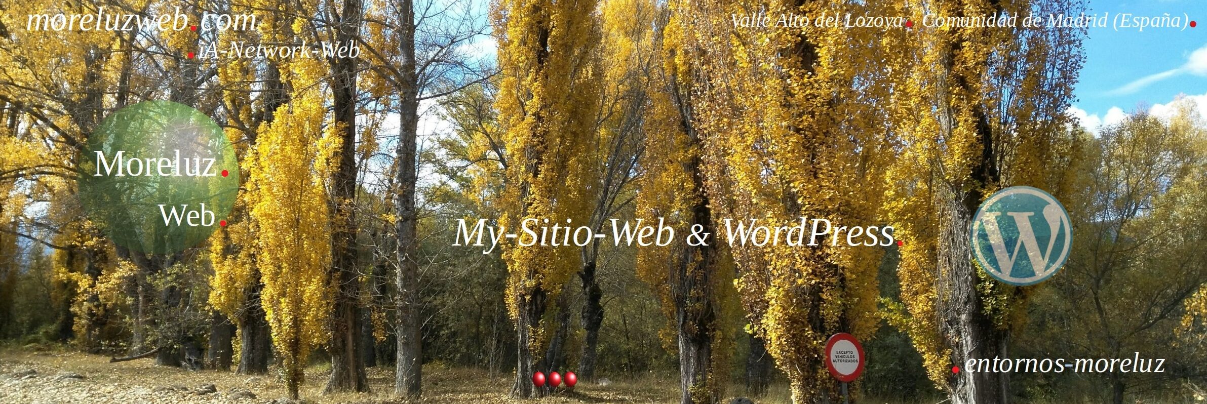 Moreluzweb